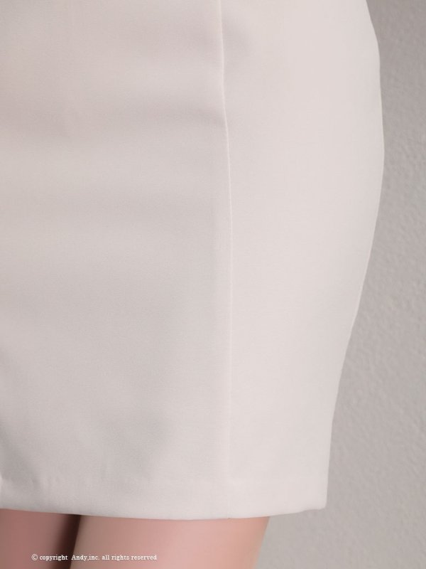 画像27: 【ANDY/アンディ】ワンカラー/ フロントジップ/ 半袖/ 袖あり/ バックリボン/ タイト/ ミニドレス/ キャバドレス[OF05] (27)