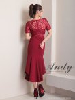 画像5: 【Andy ANDY Fashion Press 17 COLLECTION 01】マーメイド/ ワンカラー/ レース/ シアー/ 袖あり/ 半袖/ ミディアムドレス/ キャバドレス[OF05] (5)