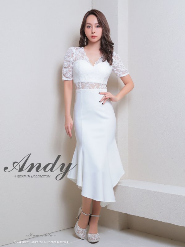 画像17: 【Andy ANDY Fashion Press 17 COLLECTION 01】マーメイド/ ワンカラー/ レース/ シアー/ 袖あり/ 半袖/ ミディアムドレス/ キャバドレス[OF05] (17)