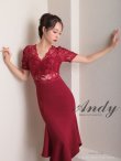 画像2: 【Andy ANDY Fashion Press 17 COLLECTION 01】マーメイド/ ワンカラー/ レース/ シアー/ 袖あり/ 半袖/ ミディアムドレス/ キャバドレス[OF05] (2)