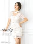 【Andy ANDY Fashion Press 17 COLLECTION 05】レース/ シアー/ ハイネック/ パールボタン/ 袖あり/ 半袖/ タイト/ ミニドレス/ キャバドレス ホワイト