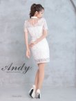 画像12: 【Andy ANDY Fashion Press 17 COLLECTION 05】レース/ シアー/ ハイネック/ パールボタン/ 袖あり/ 半袖/ タイト/ ミニドレス/ キャバドレス[OF05] (12)