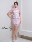 画像2: 【Andy ANDY Fashion Press 17 COLLECTION 05】レース/ シアー/ ハイネック/ パールボタン/ 袖あり/ 半袖/ タイト/ ミニドレス/ キャバドレス[OF05] (2)