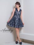 画像9: XSサイズあり【ANDY/アンディ】総レース/ 襟付き/ フロントジッパー/ ベルト/ ノースリーブ/ プリーツ/ Aライン/ フレア/ ミニドレス/ キャバドレス[OF05] (9)