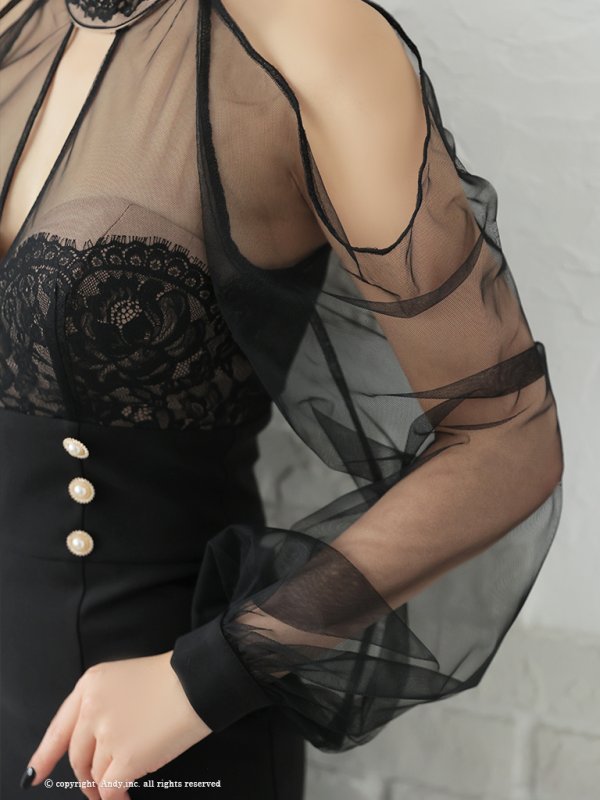 画像17: XSサイズあり【ANDY/アンディ】シアー/ レース/ マーメイド/ アシンメトリー/ 裾フリル/ パールボタン/ 袖あり/ 長袖/ ミニドレス/ キャバドレス[OF05] (17)