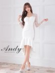 画像2: 【ANDY/アンディ】 シアー/ ジップ/ 長袖/ 七分袖/ テールカット/ マーメイド/  膝丈/ ミディアムドレス/ キャバドレス[OF05] (2)