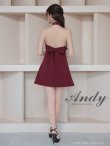 画像22: 【ANDY/アンディ】ホルターネック/ バスト切り替え/ フロントジップ/ ハイネック/ ビジュー/ リボン/ フレア/ ミニドレス/ キャバドレス[OF05] (22)