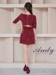画像22: XSサイズあり【ANDY/アンディ】ハーフスリーブ/ 袖あり/ スクエアネック/ バストジッパー/ ボタン/ バックリボン/ プリーツ/ フレア/ ミニドレス/ キャバドレス[OF05] (22)