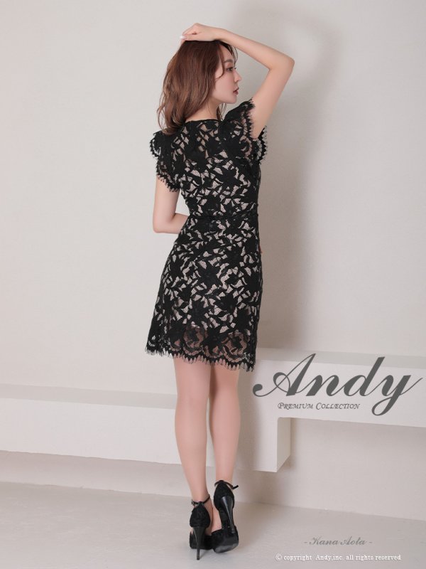 画像4: 【Andy /アンディ】総レース/ ショートスリーブ/ 袖あり/ ウエストシアー/ 膝丈/ タイト/ ミニドレス/ キャバドレス[FB03] (4)