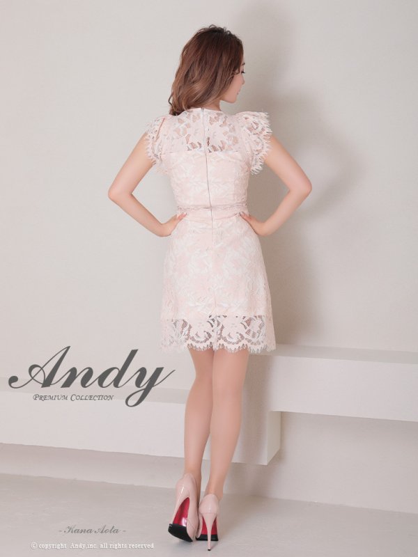 画像12: 【Andy /アンディ】総レース/ ショートスリーブ/ 袖あり/ ウエストシアー/ 膝丈/ タイト/ ミニドレス/ キャバドレス[FB03] (12)