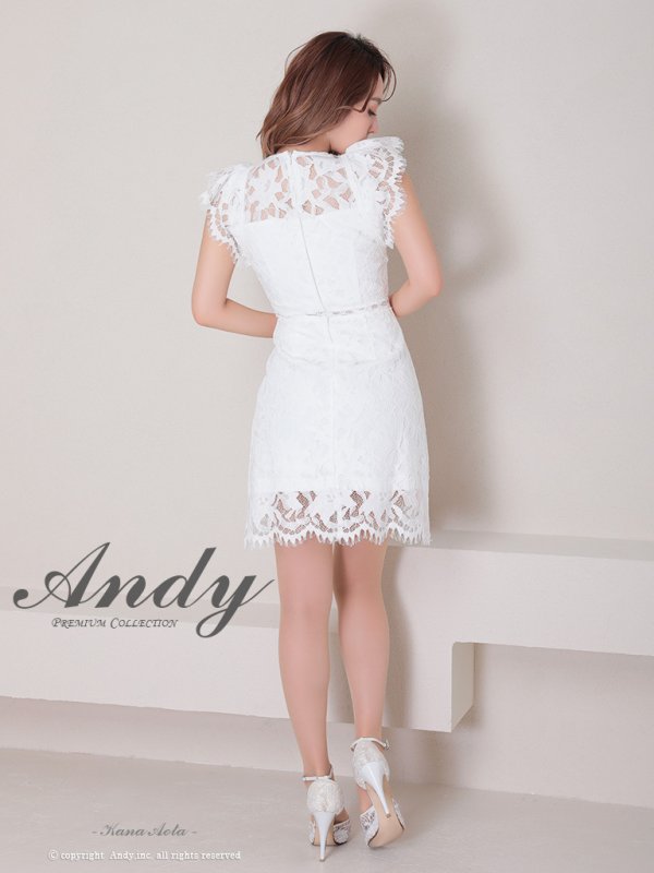 画像20: 【Andy /アンディ】総レース/ ショートスリーブ/ 袖あり/ ウエストシアー/ 膝丈/ タイト/ ミニドレス/ キャバドレス[FB03] (20)