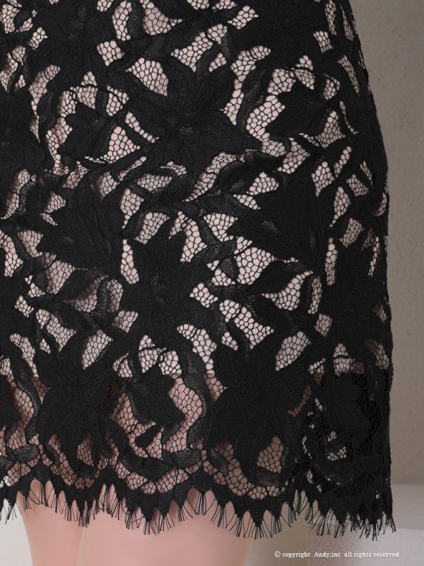 画像8: 【Andy /アンディ】総レース/ ショートスリーブ/ 袖あり/ ウエストシアー/ 膝丈/ タイト/ ミニドレス/ キャバドレス[FB03] (8)