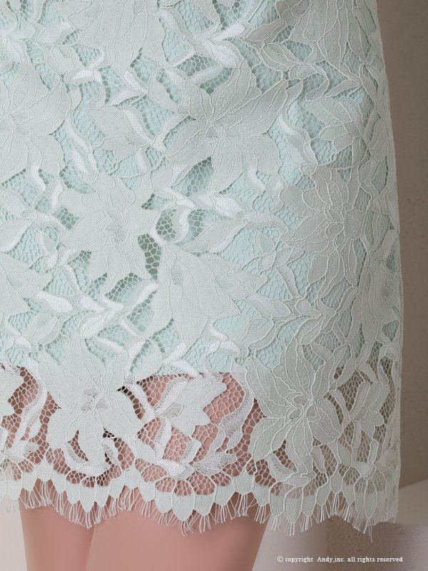 画像32: 【Andy /アンディ】総レース/ ショートスリーブ/ 袖あり/ ウエストシアー/ 膝丈/ タイト/ ミニドレス/ キャバドレス[FB03] (32)