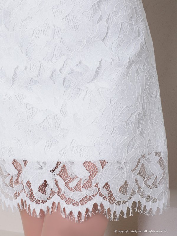 画像24: 【Andy /アンディ】総レース/ ショートスリーブ/ 袖あり/ ウエストシアー/ 膝丈/ タイト/ ミニドレス/ キャバドレス[FB03] (24)