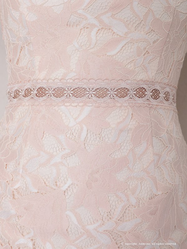 画像15: 【Andy /アンディ】総レース/ ショートスリーブ/ 袖あり/ ウエストシアー/ 膝丈/ タイト/ ミニドレス/ キャバドレス[FB03] (15)