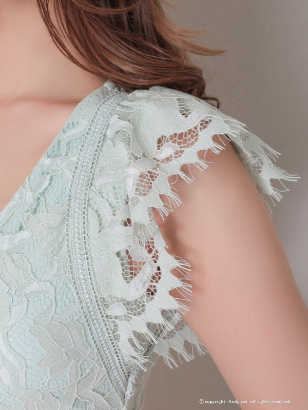 画像30: 【Andy /アンディ】総レース/ ショートスリーブ/ 袖あり/ ウエストシアー/ 膝丈/ タイト/ ミニドレス/ キャバドレス[FB03] (30)