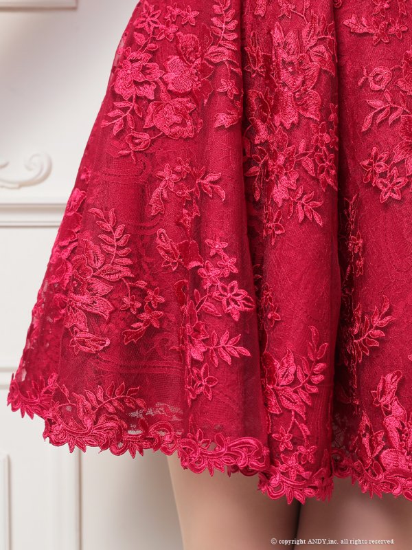 画像6: 【an /アン】フラワー刺繍/ レース/ ベア/ 切替/ フレア/ Aライン/ ミニドレス/ キャバドレス[FB03] (6)