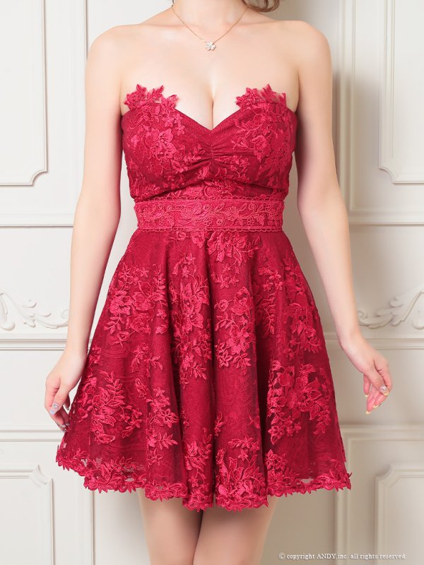 画像5: 【an /アン】フラワー刺繍/ レース/ ベア/ 切替/ フレア/ Aライン/ ミニドレス/ キャバドレス[FB03] (5)