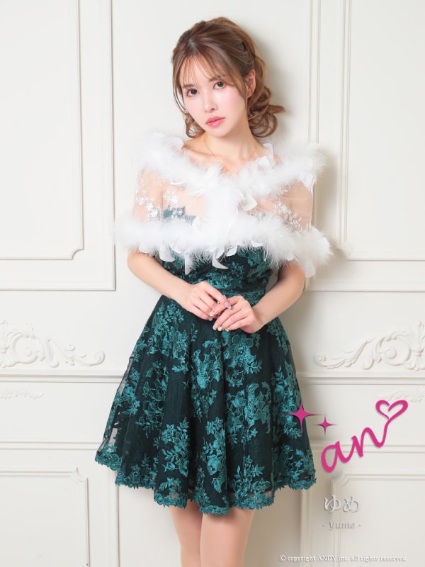 画像8: 【an /アン】フラワー刺繍/ レース/ ベア/ 切替/ フレア/ Aライン/ ミニドレス/ キャバドレス[FB03] (8)