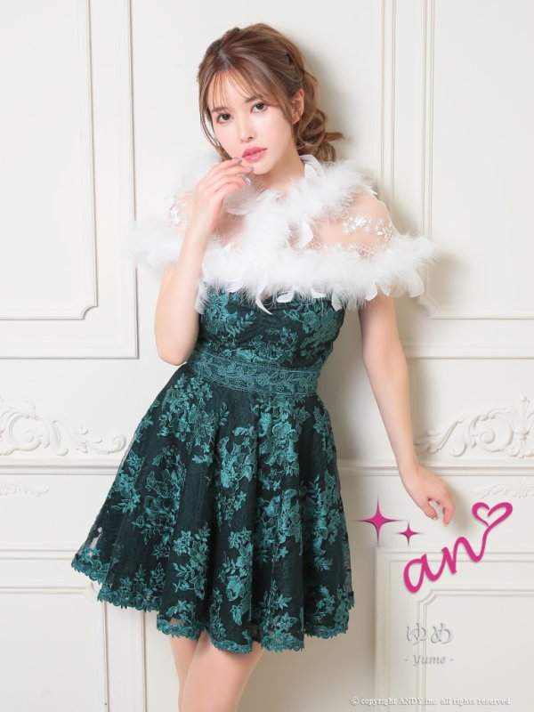 画像9: 【an /アン】フラワー刺繍/ レース/ ベア/ 切替/ フレア/ Aライン/ ミニドレス/ キャバドレス[FB03] (9)