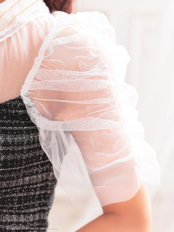 画像8: XSサイズあり【an /アン】襟付き/ ツイード/ フロントップ/ シアー/ パフスリーブ/タイト/ ミニドレス/ キャバドレス[OF05] (8)