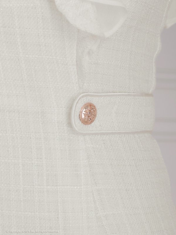 画像14: XSサイズあり【an /アン】 フリルショルダー/ アシメデザイン/ フロントジップ/ ノースリーブ/ チェック柄/ タイト/ ミニドレス/ キャバドレス[OF05] (14)