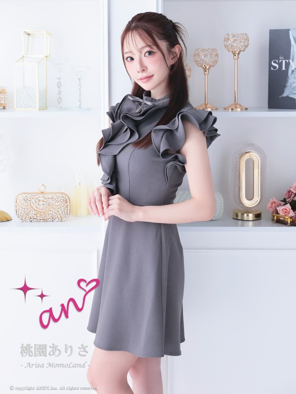 グレー モデル：桃園ありさ サイズ：Sサイズ