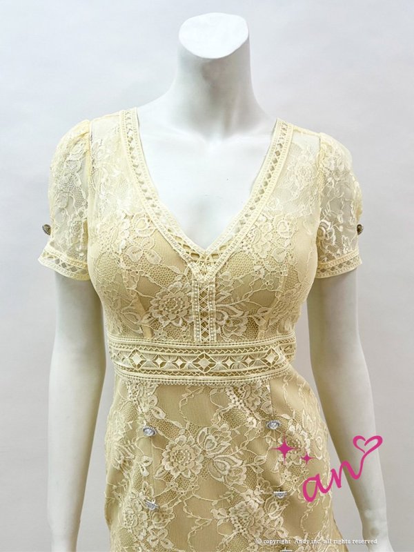 画像12: 【an/アン】総レース/ 半袖/ 袖あり/ ボタン/ ボックスプリーツ/ タイト/ ミニドレス/ キャバドレス[FB03] (12)