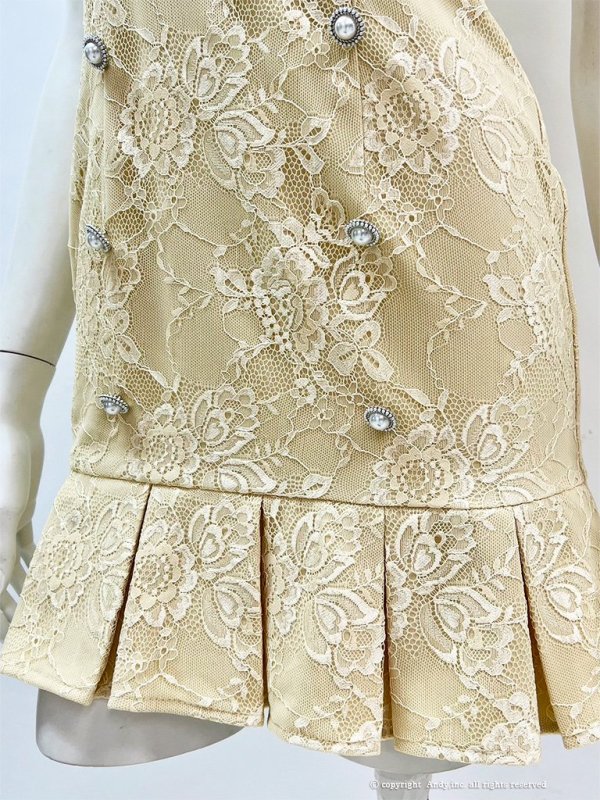 画像14: 【an/アン】総レース/ 半袖/ 袖あり/ ボタン/ ボックスプリーツ/ タイト/ ミニドレス/ キャバドレス[FB03] (14)