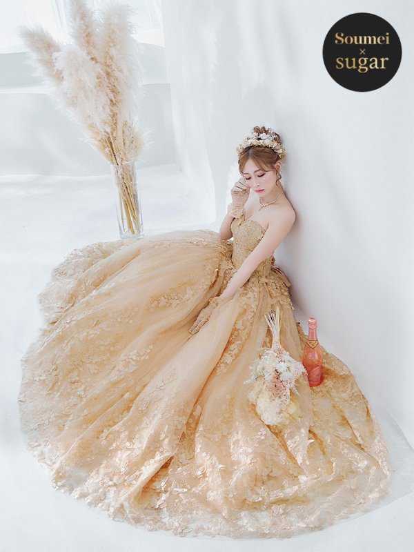 画像20: 【関西コレクション着用】【ANGEL R/エンジェルアール】ベア/ ウェディング/ バースデー/ プリンセス/ バタフライスパンコール/ ビジュー/ キャバドレスlong【HC03】 (20)