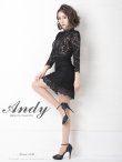 画像3: 【Andy ANDY Fashion Press 11 COLLECTION 05】総レース/ ドットレース/ リボン/ 長袖/ 七分袖/ 袖あり/ ハイネック/ ミニドレス/ キャバドレス[OF05] (3)