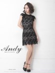画像9: 【Andy ANDY Fashion Press 11 COLLECTION 07】フラワーレース/ シアー/ ハイネック/ 台形スカート/ ミニドレス/ キャバドレス[OF05] (9)