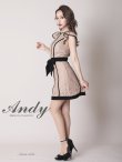 画像3: 【Andy ANDY Fashion Press 12 COLLECTION 02】フラワーレース/ リボンベルト風/ シアー/ ハイネック/ 台形スカート/ ミニドレス/ キャバドレス[OF05] (3)
