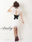 画像4: 【ANDY/アンディ】総レース/ リボンベルトデザイン/ フラワー刺繍/ Vネック/ タイト/ ワンピース/ キャバドレス[FB03] (4)