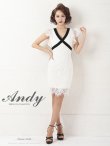 画像2: 【ANDY/アンディ】総レース/ リボンベルトデザイン/ フラワー刺繍/ Vネック/ タイト/ ワンピース/ キャバドレス[FB03] (2)