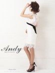 画像3: 【ANDY/アンディ】総レース/ リボンベルトデザイン/ フラワー刺繍/ Vネック/ タイト/ ワンピース/ キャバドレス[FB03] (3)