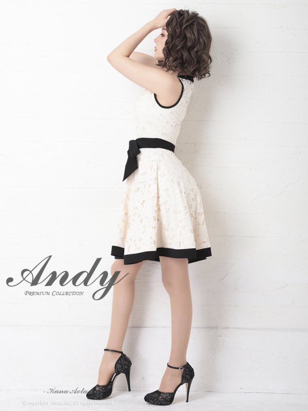 画像3: 【Andy ANDY Fashion Press 11 COLLECTION 04】フラワーレース/ ウエストリボン/ ノースリーブ/ ラインデザイン/ フレア/ ミニドレス/ キャバドレス[OF05] (3)