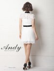 画像4: 【Andy ANDY Fashion Press 12 COLLECTION 07】フラワーレース / ブローチ付き / 半袖 /ハイネック /タイト / ミニドレス / キャバドレス[OF05] (4)