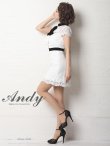画像3: 【Andy ANDY Fashion Press 12 COLLECTION 07】フラワーレース / ブローチ付き / 半袖 /ハイネック /タイト / ミニドレス / キャバドレス[OF05] (3)
