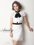 【Andy ANDY Fashion Press 12 COLLECTION 07】フラワーレース / ブローチ付き / 半袖 /ハイネック /タイト / ミニドレス / キャバドレス　ホワイトブラック