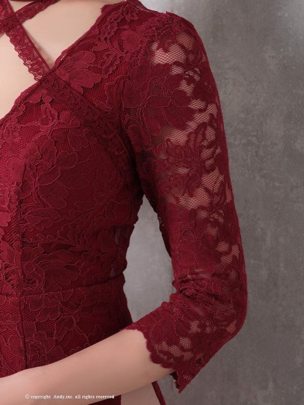 画像6: 【GLAMOROUS ANDY Fashion Press 09 COLLECTION 04】総レース/ シアー/ 七分袖/ 長袖/ 袖あり/ Vネック/ ロングドレス/ キャバドレス long[OF05] (6)