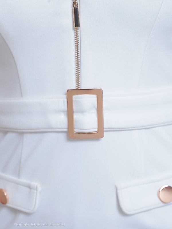 画像18: 【GLAMOROUS ANDY Fashion Press 13 COLLECTION 02】襟付き/ ハイネック/ シフォンスリーブ/ フロントジップ/ ワンカラー/ ベルトデザイン/ タイト/ ミニドレス/ キャバドレス[OF05] (18)