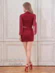 画像6: XSサイズあり【Andy GLAMOROUS/アンディグラマラス】襟付き/ ハイネック/ シフォンスリーブ/ フロントジップ/ セットアップ/ タイト/ ミニドレス/ キャバドレス[OF05] (6)