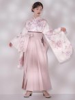 画像13: 【予約商品 / 1月中旬発送予定】ピンク牡丹×菊 ペールピンク二尺袖着物【卒業袴３点セット 二尺袖着物/帯/袴】 (13)