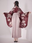 画像16: 【予約商品/1月中旬発送予定】ピンク芍薬 ワインレッド二尺袖着物【卒業袴３点セット 二尺袖着物/帯/袴】 (16)