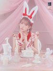 画像3: 【値下げ！】【即日発送】【ハロウィン】 チェックバニーセットアップ  【コスプレ6点セット】【XS-Lサイズ/2カラー】[YMT] (3)