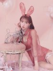 画像10: 【ハロウィン】 レースバニーオールインワン 【コスプレ5点セット】【S-Lサイズ/3カラー】[YMT] (10)