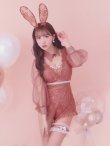 画像16: 【ハロウィン】 レースバニーオールインワン 【コスプレ5点セット】【S-Lサイズ/3カラー】[YMT] (16)