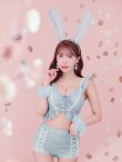 画像2: 【即日発送】【ハロウィン】 フリルレースバニーセットアップ 【コスプレ6点セット】 【S-Mサイズ/3カラー】[YMT] (2)