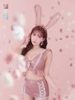 画像7: 【即日発送】【ハロウィン】 フリルレースバニーセットアップ 【コスプレ6点セット】 【S-Mサイズ/3カラー】[YMT] (7)